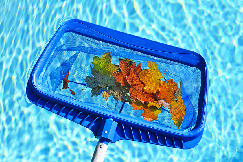Weekly swimming pool service